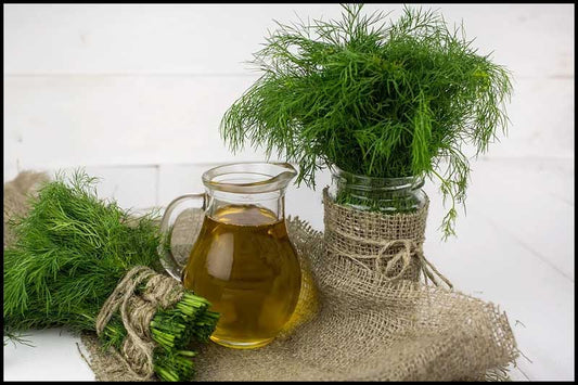 Dill For Digestive Health