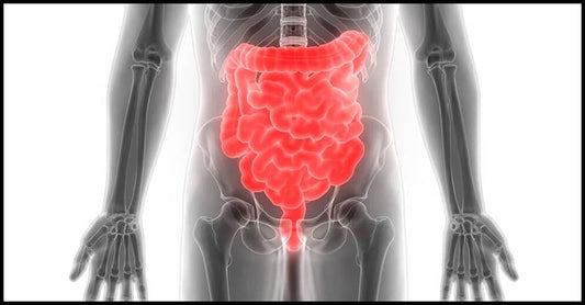 How To Protect Our Colon