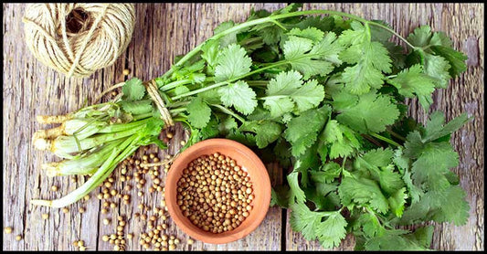 Coriander Leaves: A Green Leafy Veggie For A Glowing And Flawless Skin