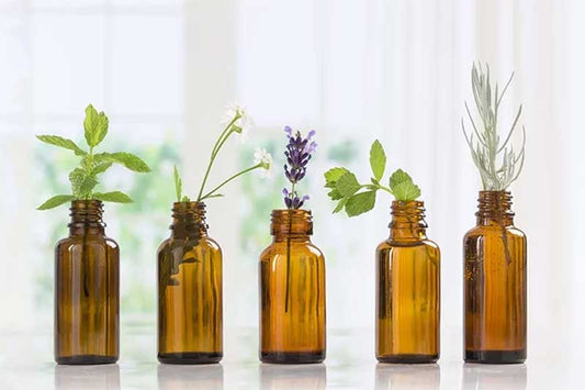 10 Essential Oils That Help Rejuvenate The Scalp