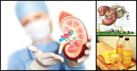 Healthy Ways To Naturally Cleanse The Kidneys